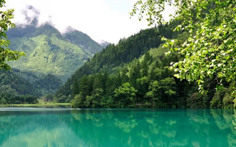 高效可靠性
